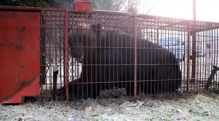 ����q�O�}